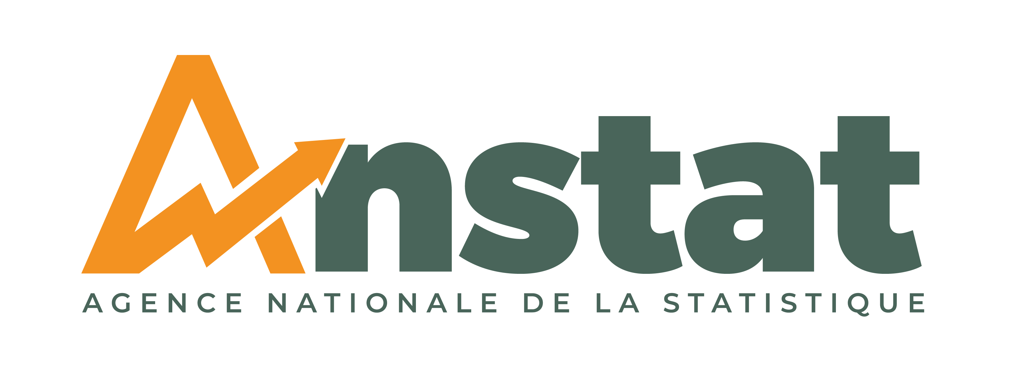 Logo ANStat